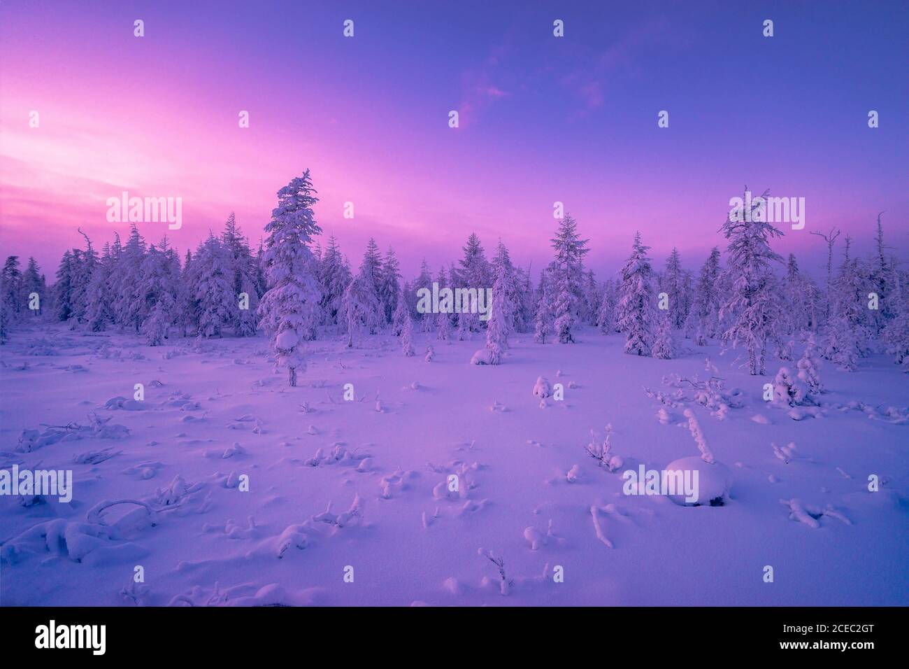 Snow falling in alaska forest hi-res stock photography and images - Alamy