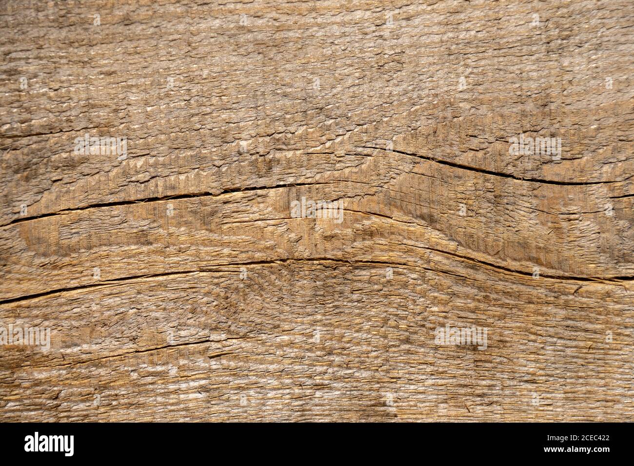natural texture background unprocessed brown wood outdoor Stock Photo
