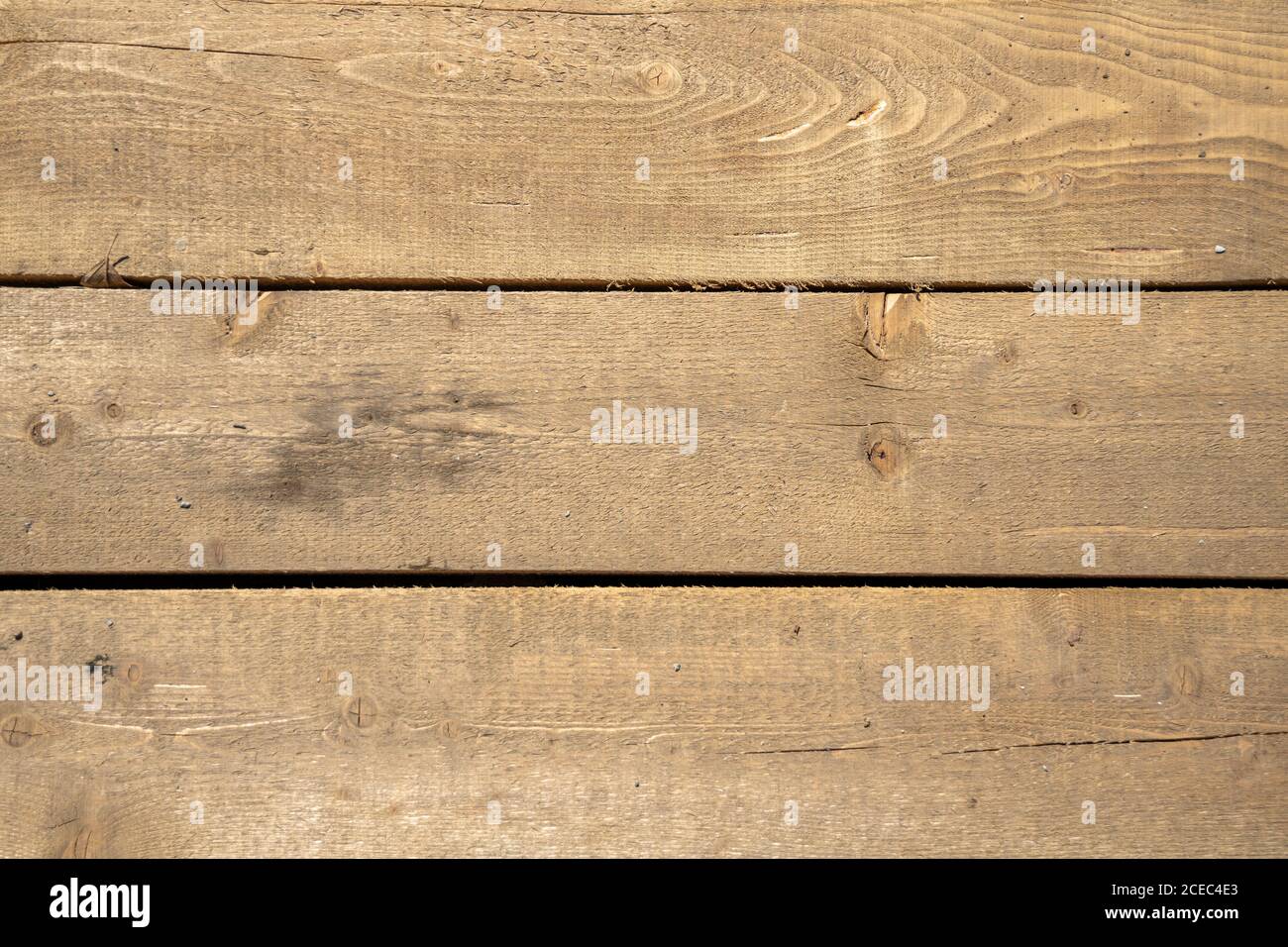 natural texture background unprocessed wood sunny weather outdoor Stock Photo
