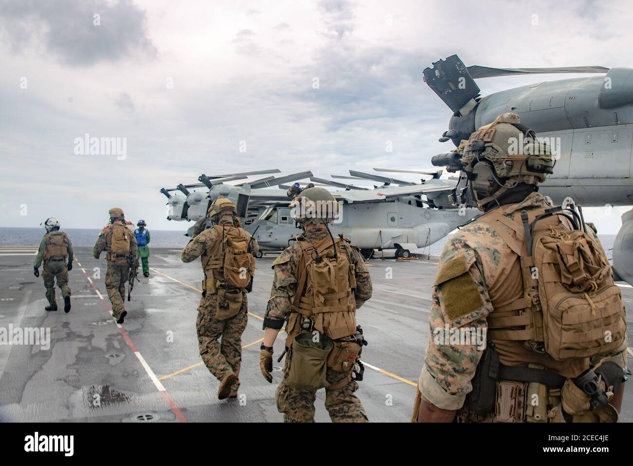 usmc sea bolsa
