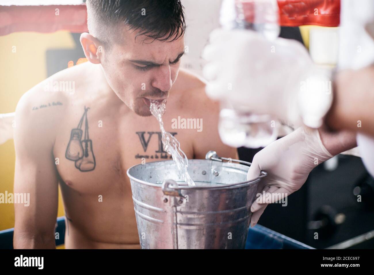 Boxer sportsman in the ring spitting the water to the bucket Stock
