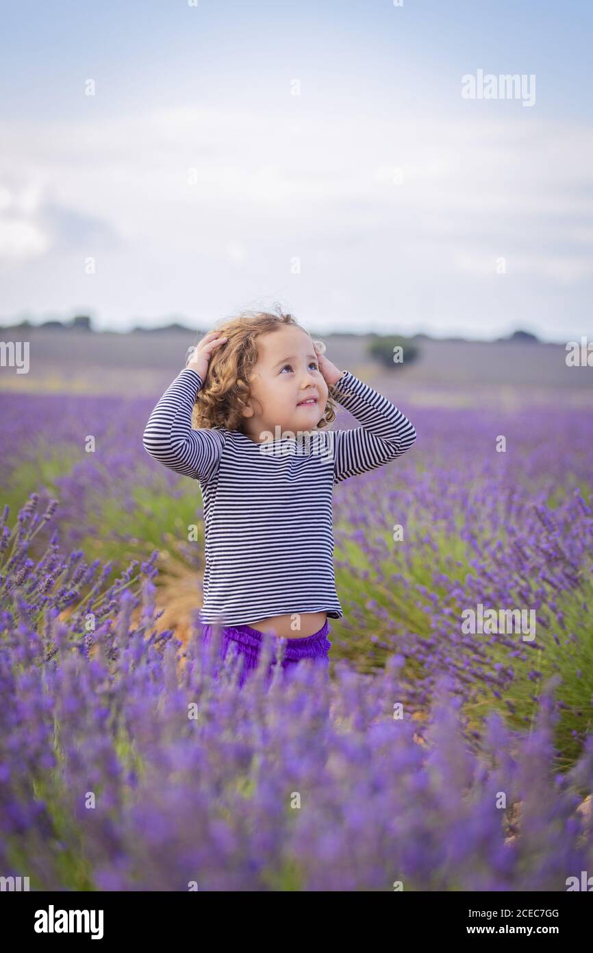 Little curly innocent girl sanding in blooming lavender flowers and looking up in dreams Stock Photo