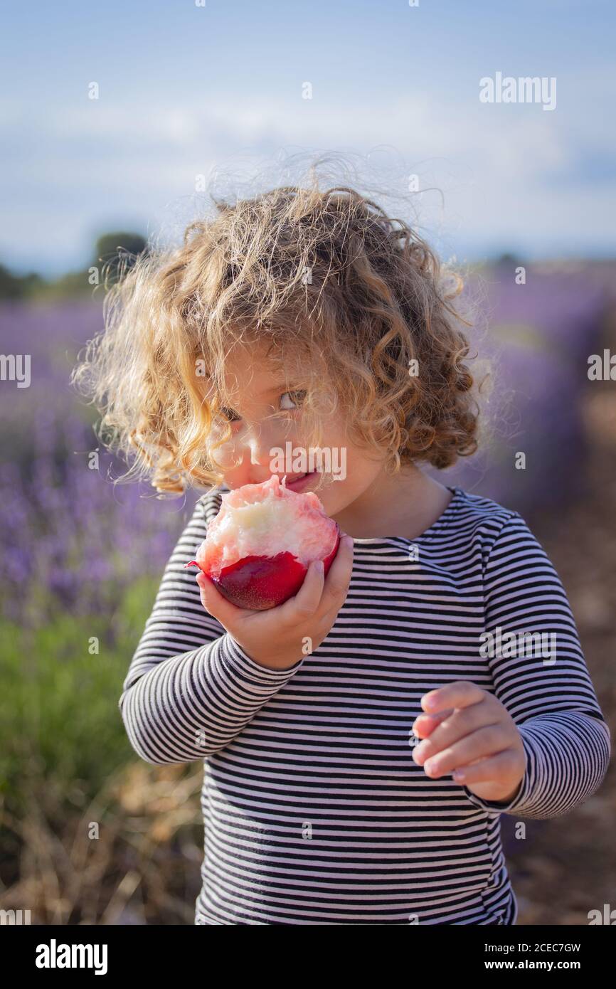 Charming little girl eating juicy peach and looking at camera with