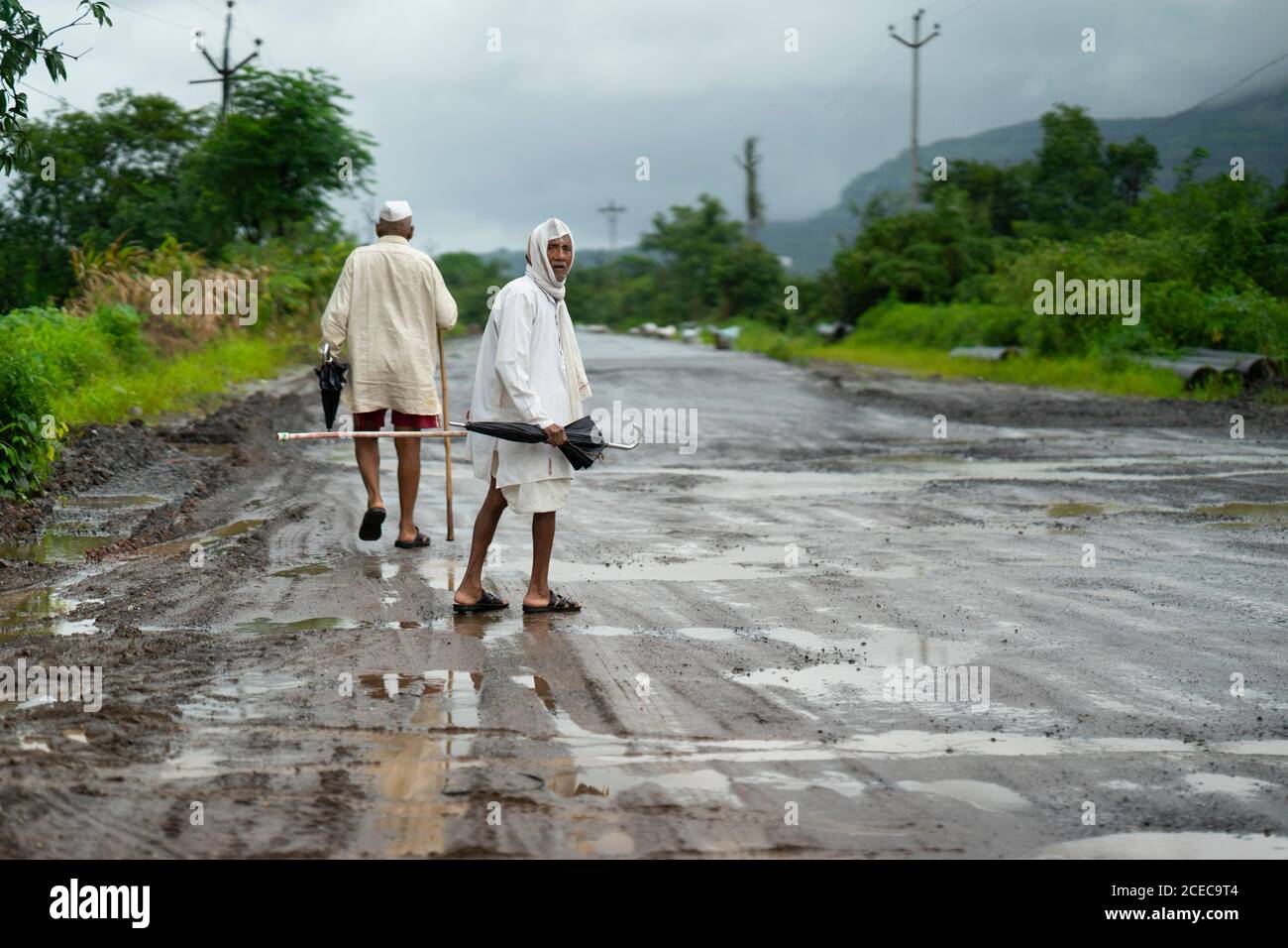 maharashtrian villagers walking with umbrellas on a rainy day wearing dhoti Stock Photo