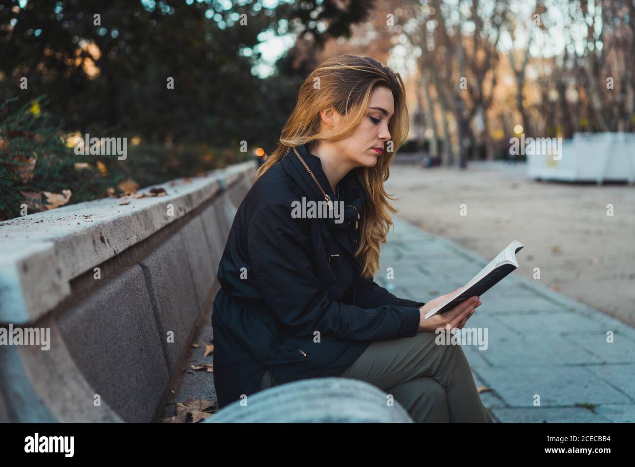 Woman reading book in park Stock Photo