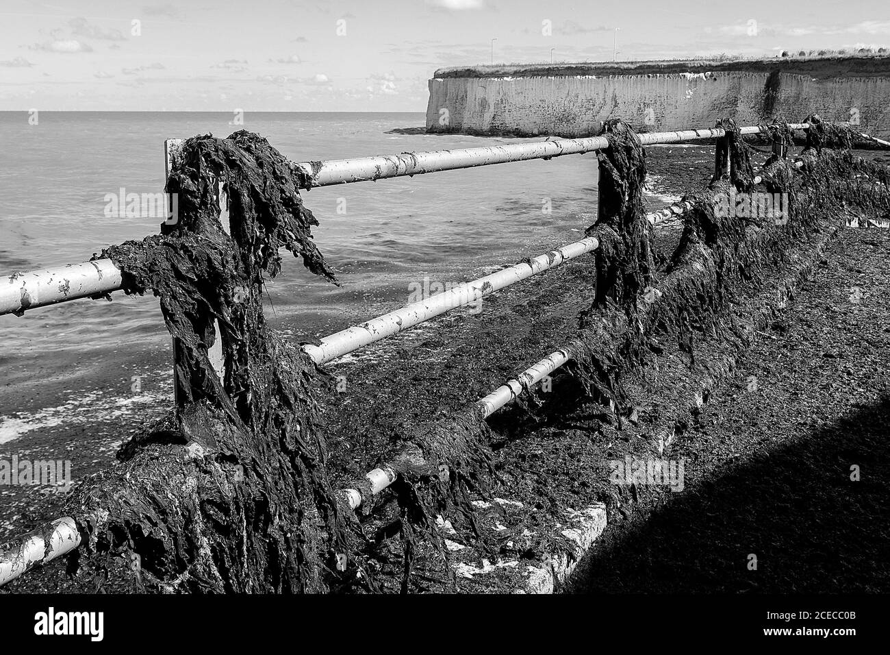 Railings coveed with seaweed at Epple Bay Birchington Kent after storm Francis August 2020 Stock Photo