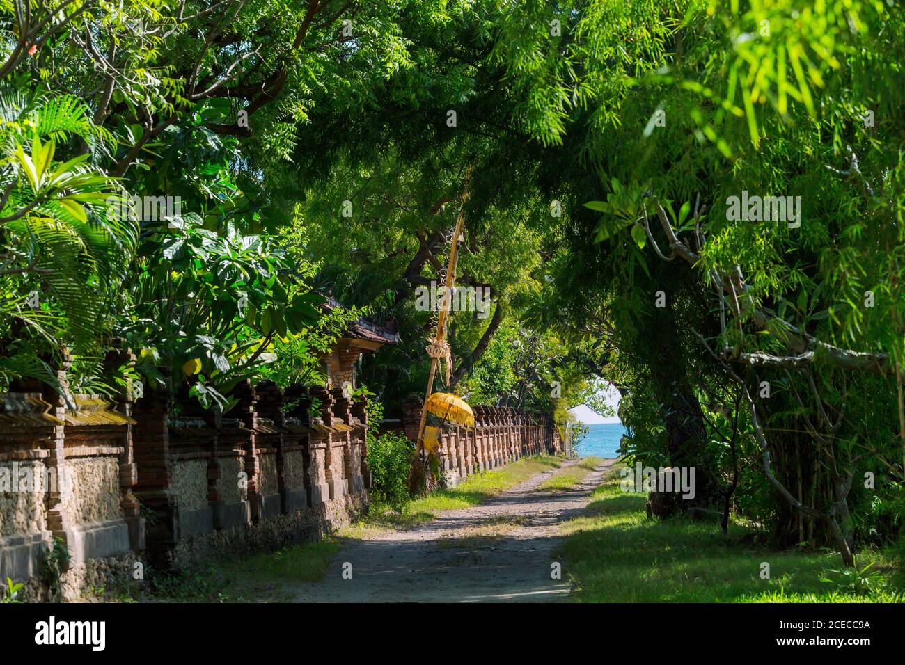 Bali Tropical Cove Pathways - Lime main image 1