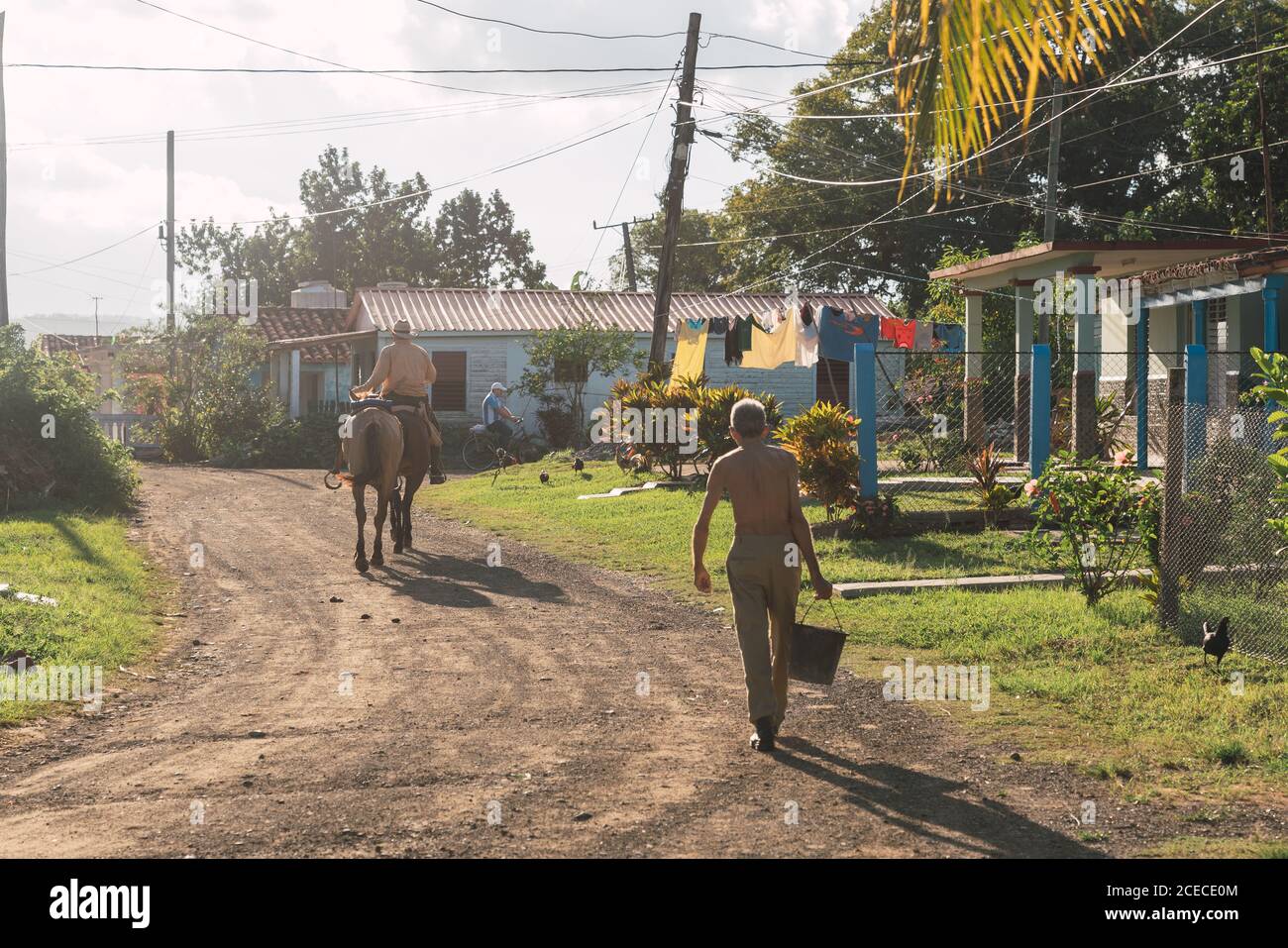 LA HABANA, CUBA - NOVEMBER, 6 , 2018: Back view male with pail walking on street near man hacking on horse near old buildings in sunny day in Cuba Stock Photo