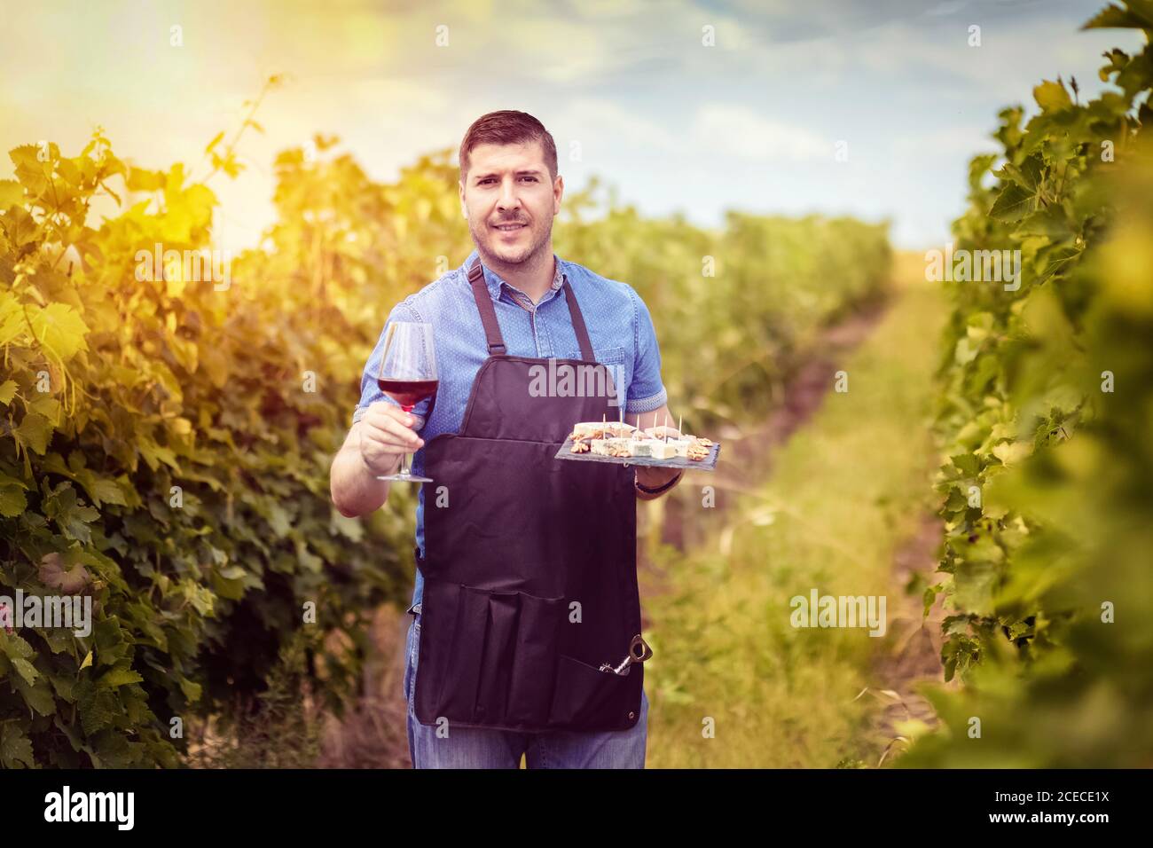 Modern winemaker in vineyard holding glass of red wine and variety of italian food Stock Photo