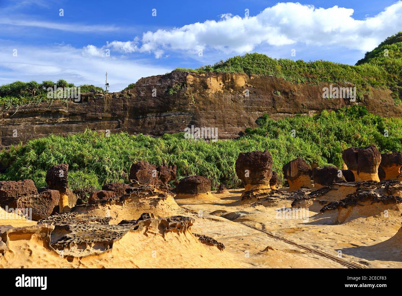 Taiwan Rocks Natural rock formation at Yehliu Geopark, one of most famous wonders in ...
