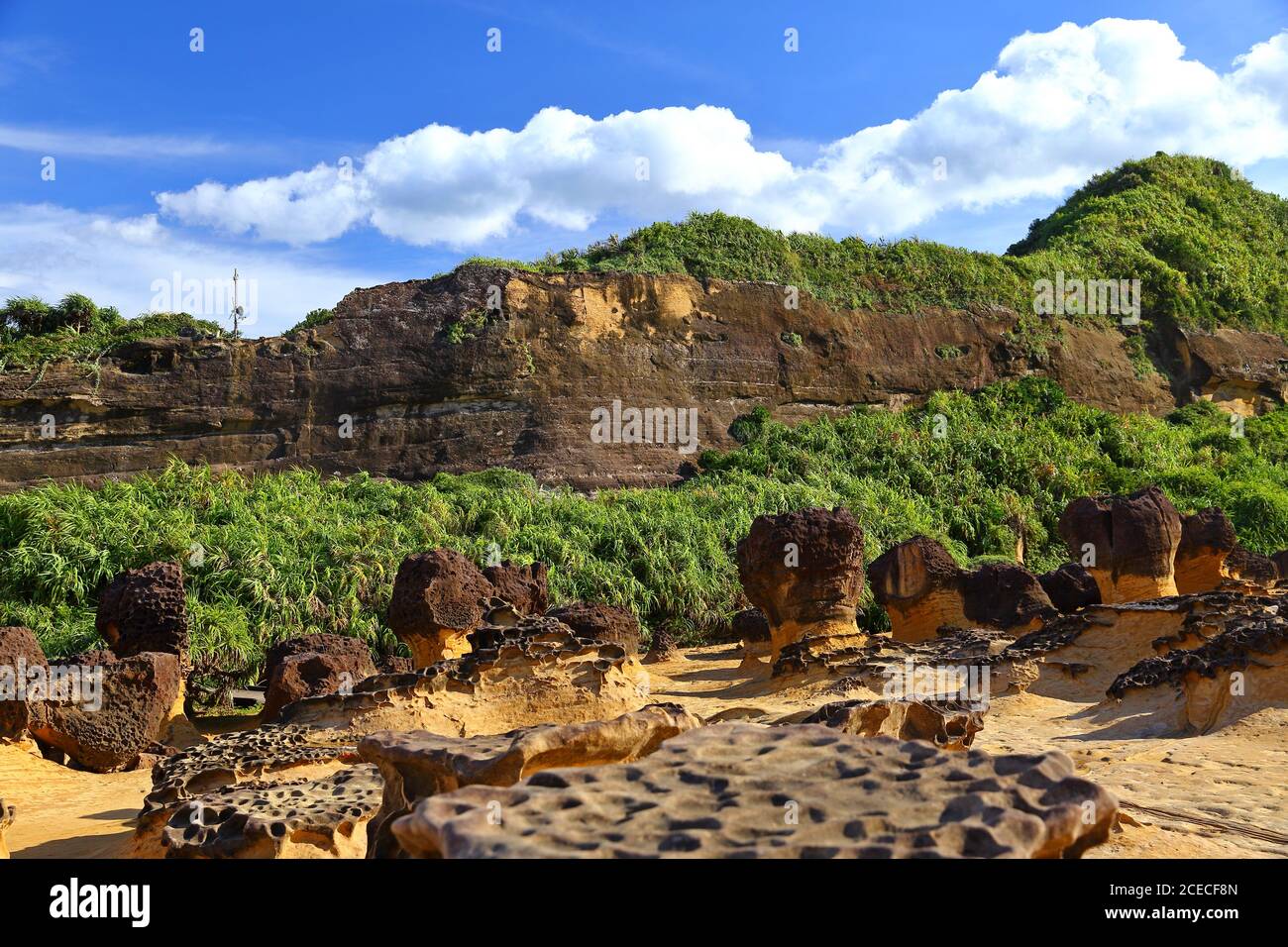 Taiwan Rocks Natural rock formation at Yehliu Geopark, one of most famous wonders in ...