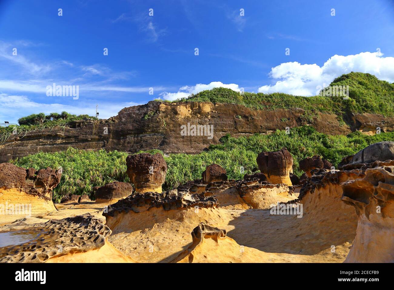 Taiwan Rocks Natural rock formation at Yehliu Geopark, one of most famous wonders in ...