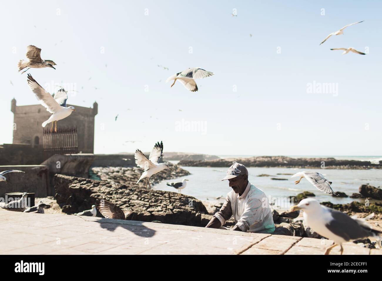 ESSAOUIRA, MOROCCO - SEPTEMBER 10, 2019: Old fisherman feeding seagulls in harbor Essaouira, Morocco. Many birds flying around. Stock Photo