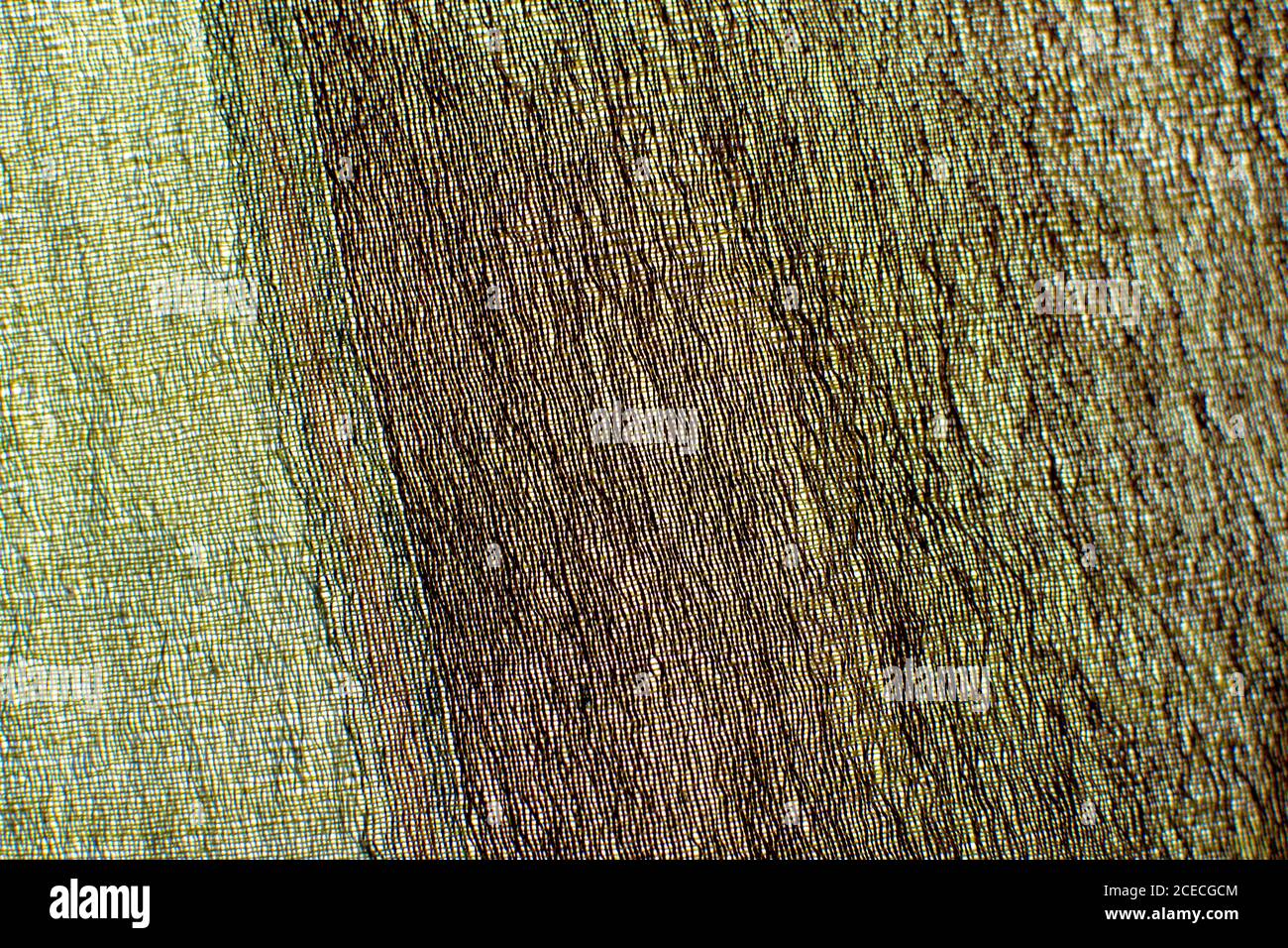 Closeup of textile in earth colors as background texture Stock Photo