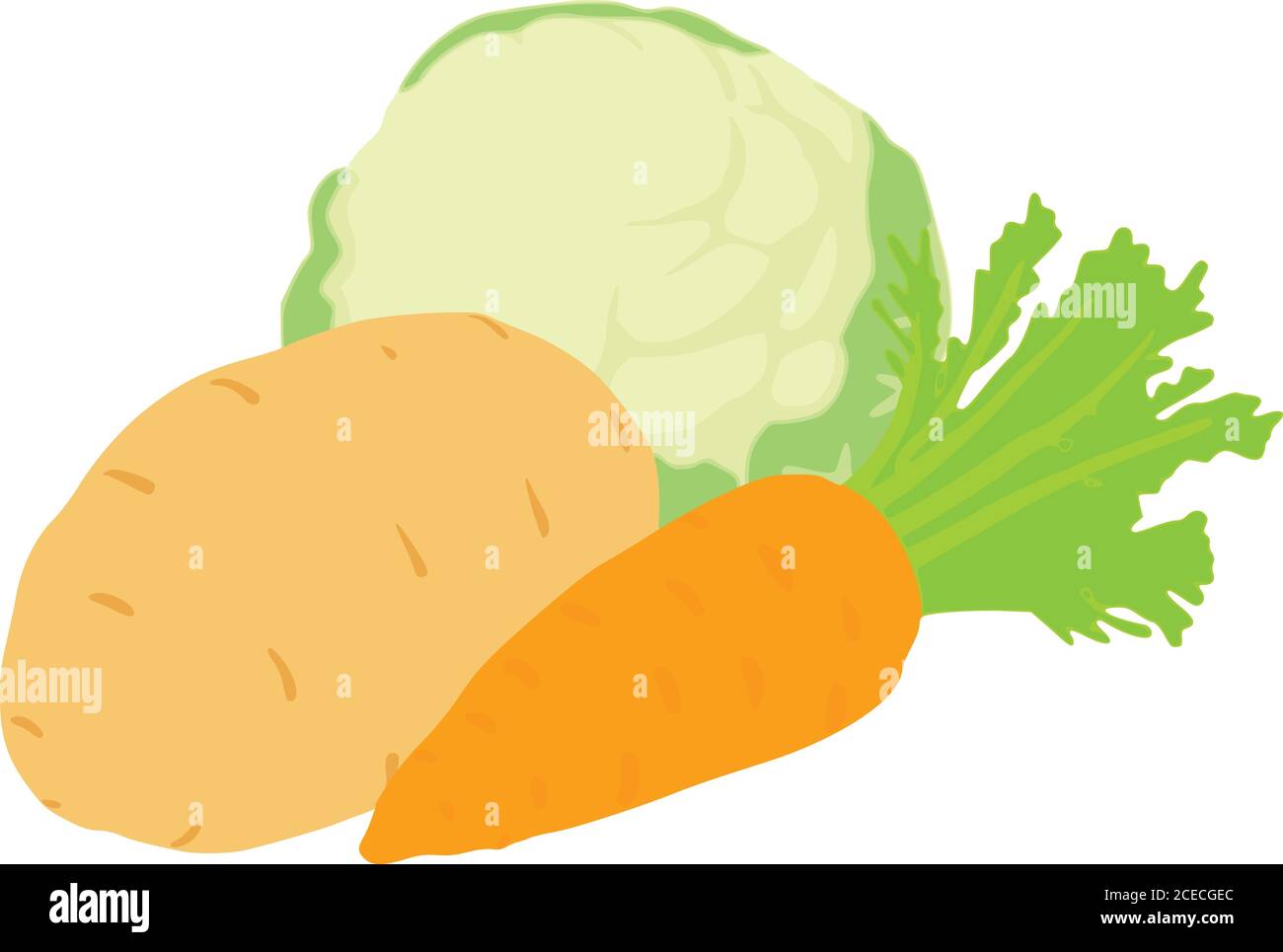 Vegetable harvest icon, isometric style Stock Vector
