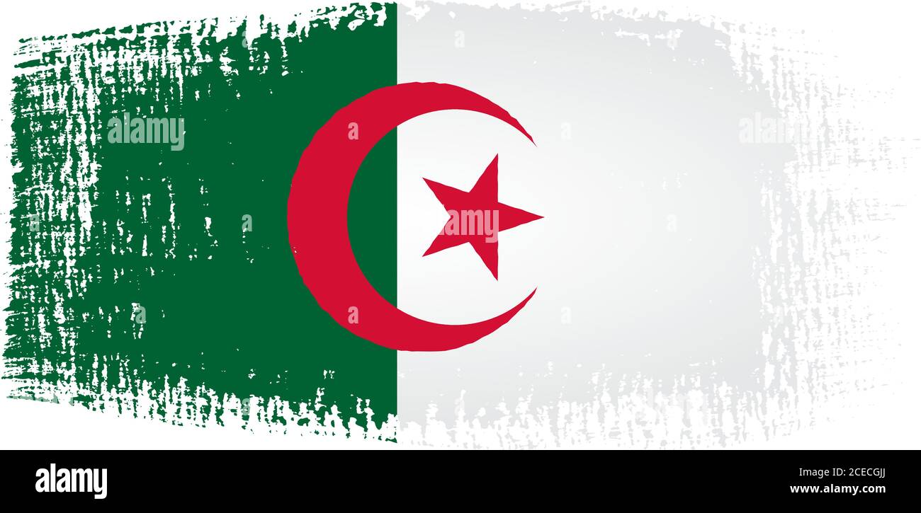Algeria flag brushstroke Stock Vector