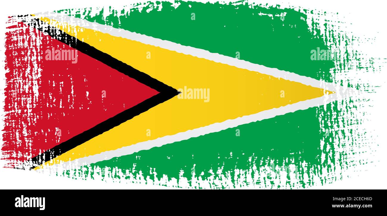 Guyana flag brushstroke Stock Vector