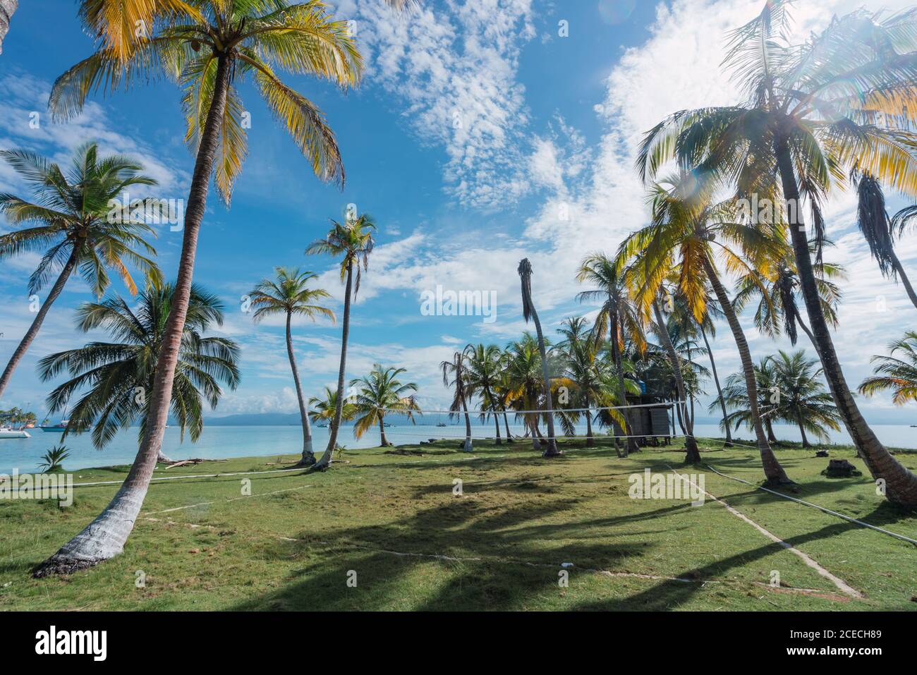 Volleyball court between tropical trees and grass near sea and blue sky ...