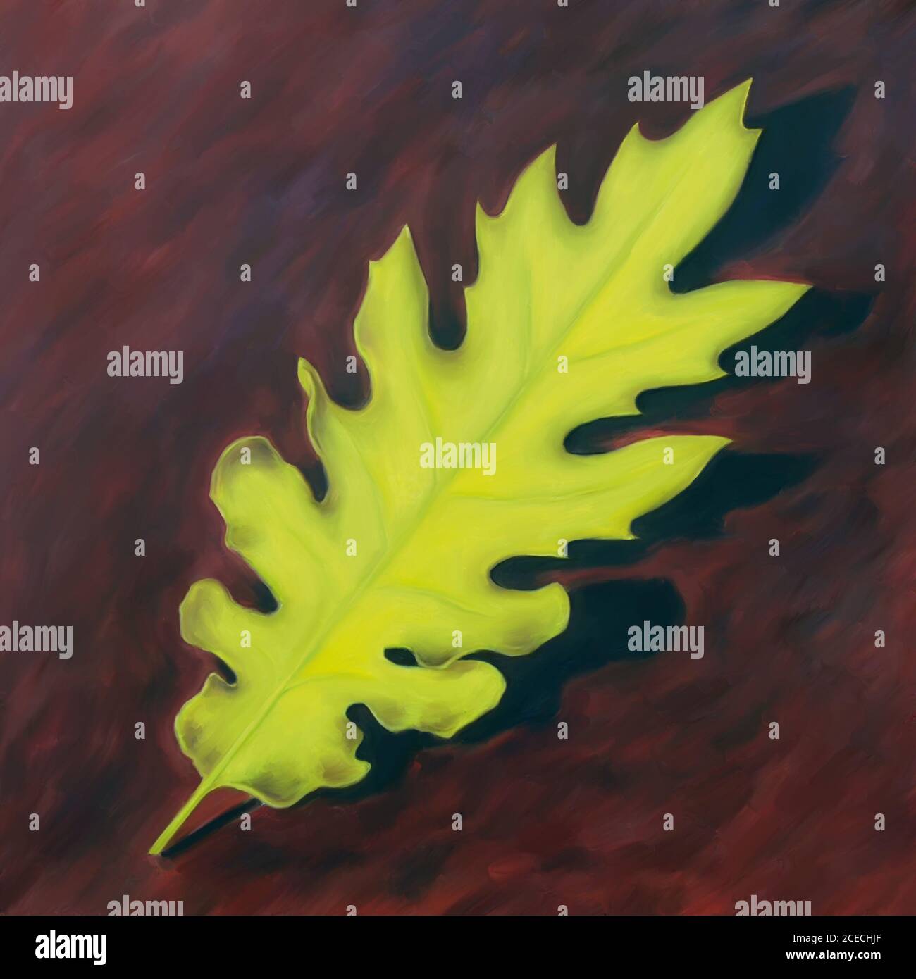 Leaf illustration oak hi-res stock photography and images - Alamy