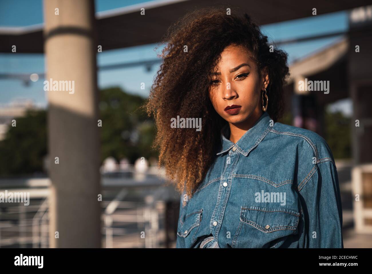 African-American Woman looking at camera Stock Photo