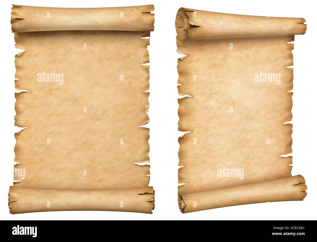 Two old paper manuscripts. Papyrus scroll vertically oriented isolated on white background. Stock Photo