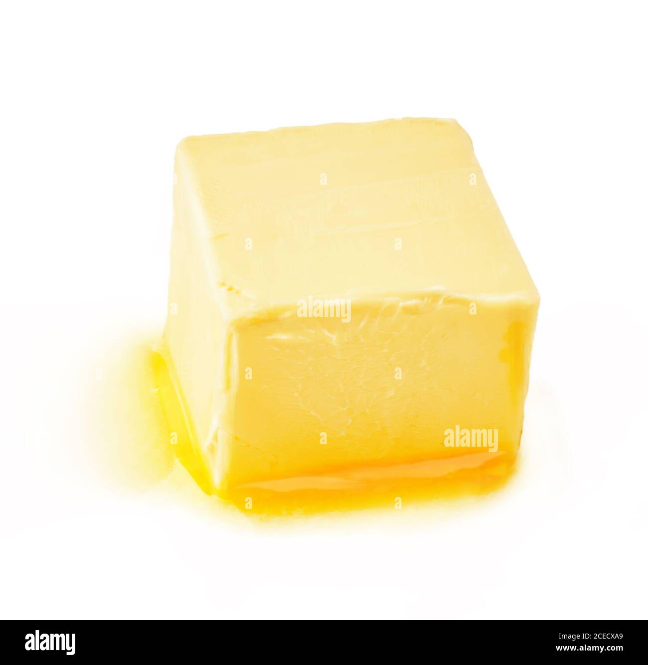 melted butter チューリップ　6m〜9m TULIP – melted butter