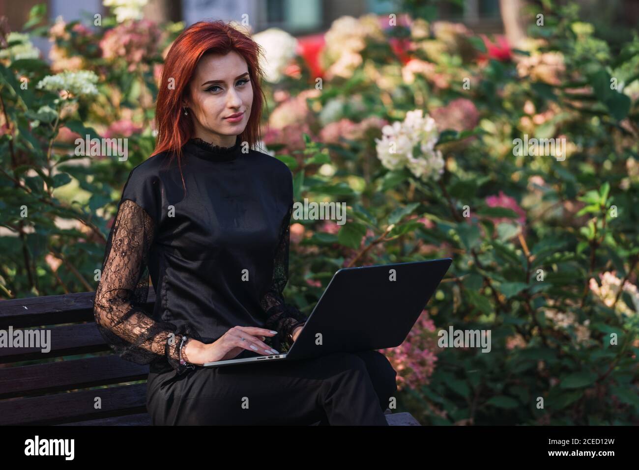 Woman using laptop on bench Stock Photo