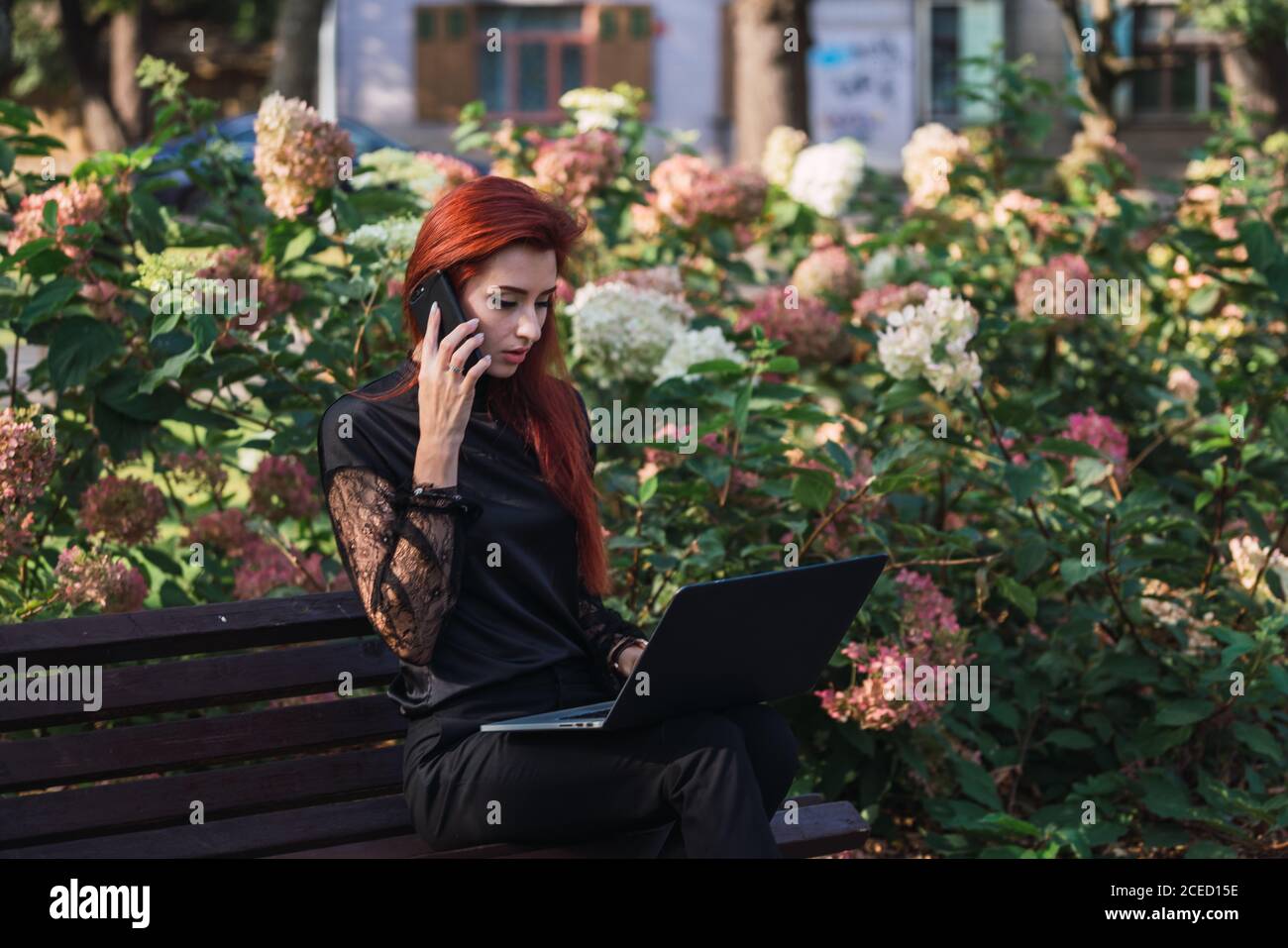 Woman using laptop and smartphone on bench Stock Photo