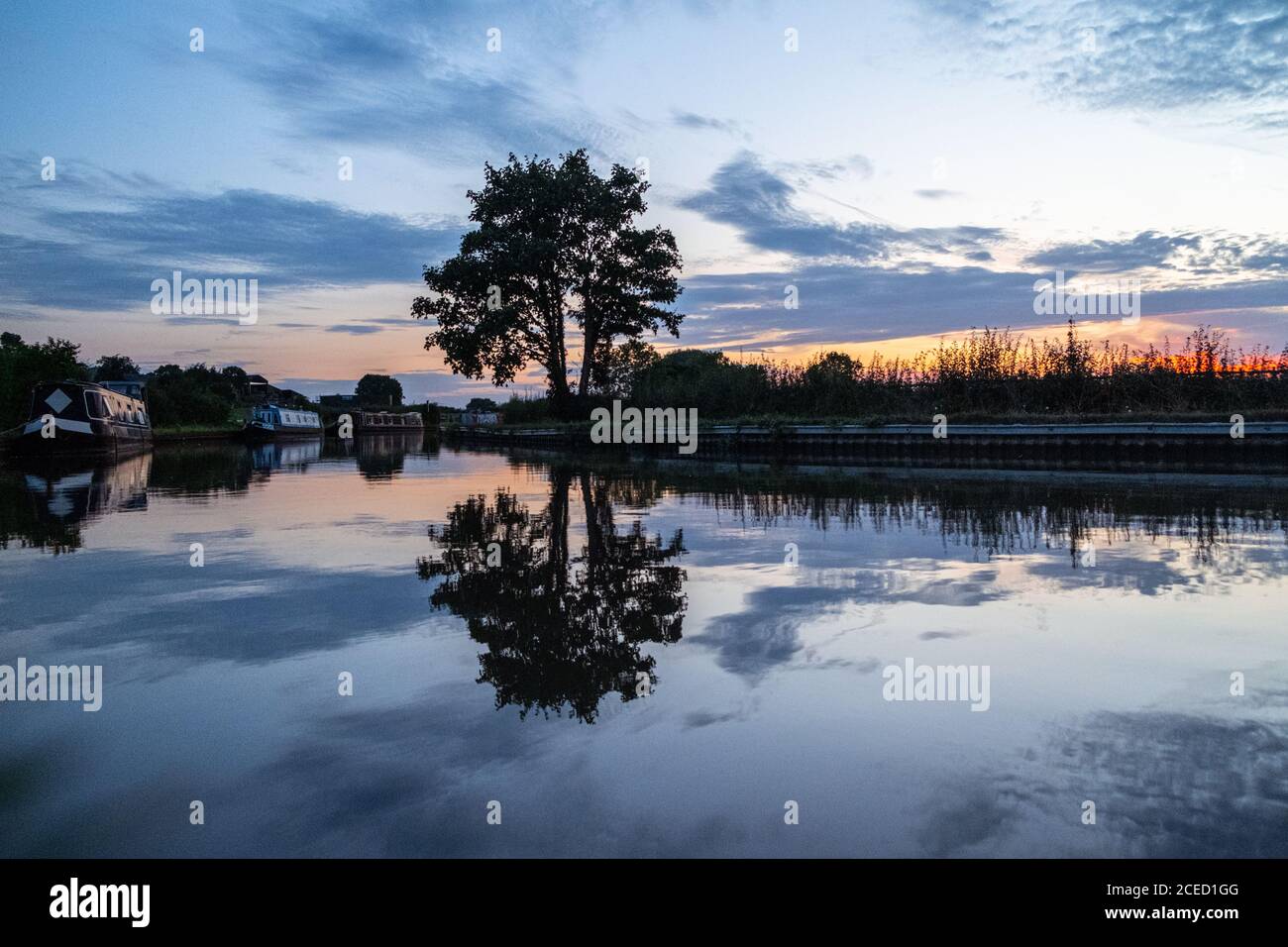 Reflection of a tree on the lake during sunset Stock Photo - Alamy