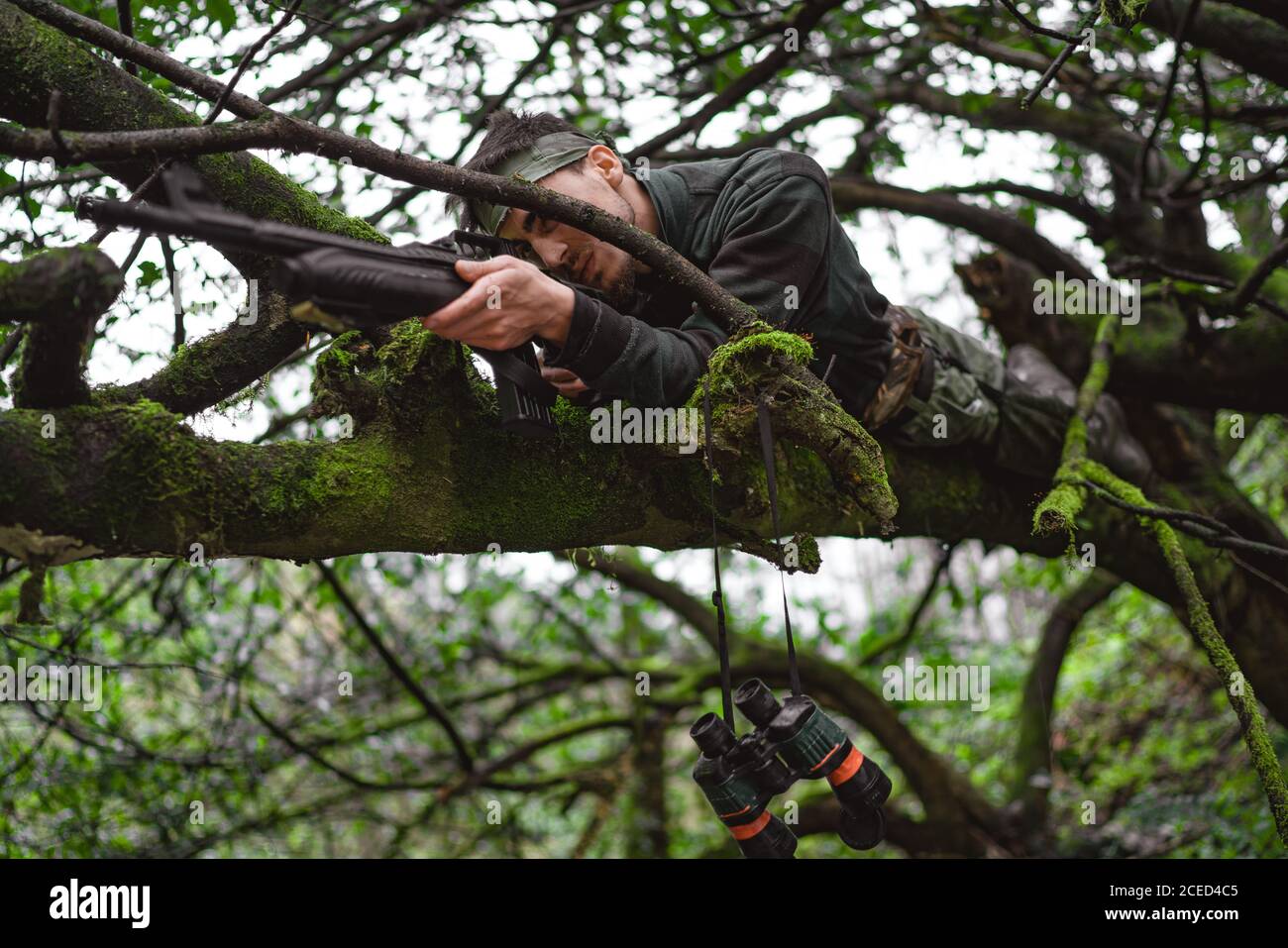 Camouflaged Military Sniper Waits Silently Thick Forest Terrain Rendering  Stock Photo by ©digitalstorm 380736146