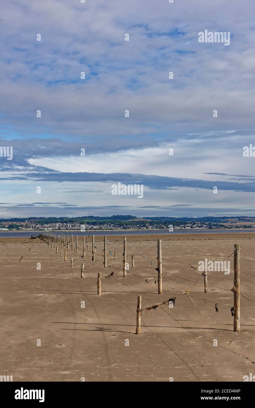 The tensioned Wood and wire fishing Fence line stretching across the Tay Estuary, with Broughty Ferry in the background on the northern shore. Stock Photo