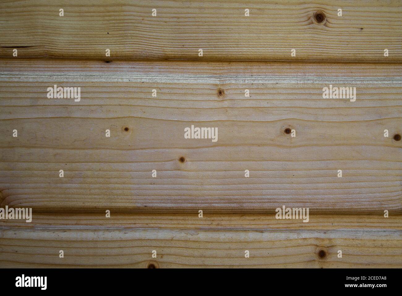 Texture of light spruce wood panels. Stock Photo