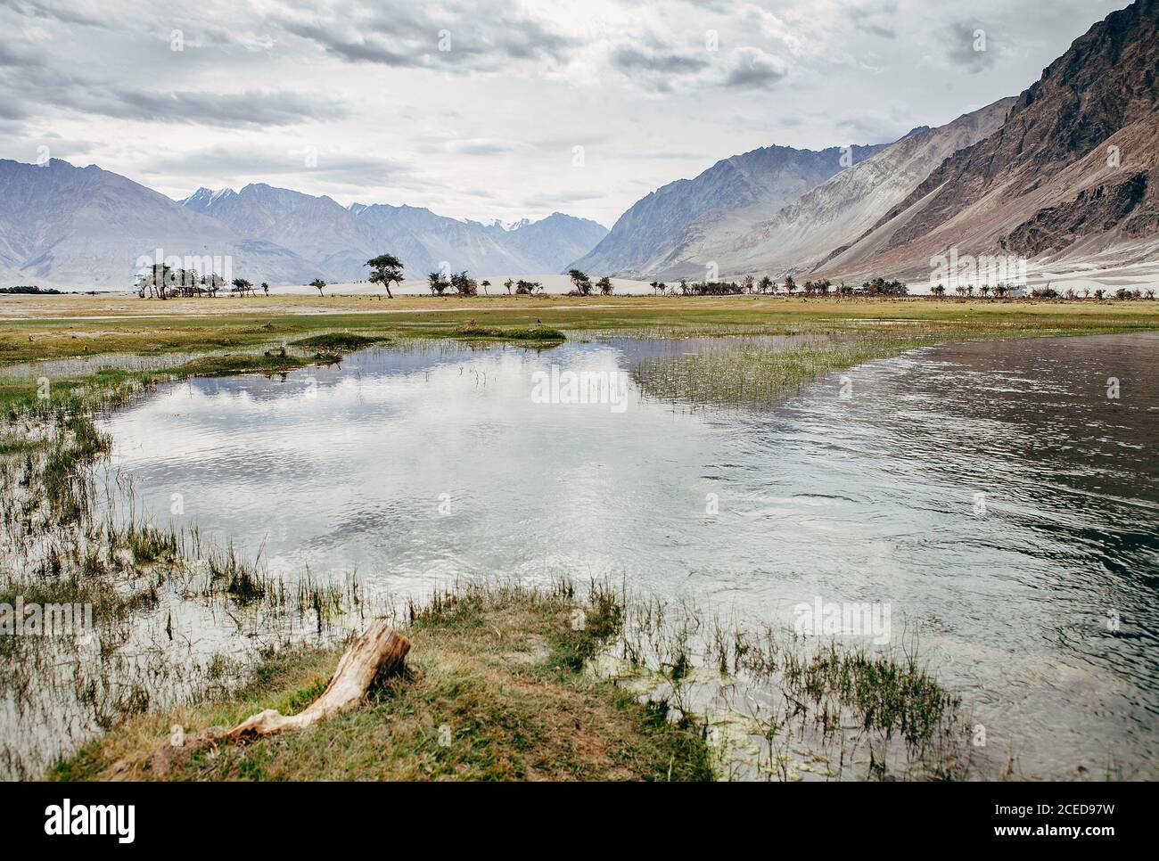 Public domain image of Hunder, Nubra Valley - PICRYL - Public Domain Media  Search Engine Public Domain Search