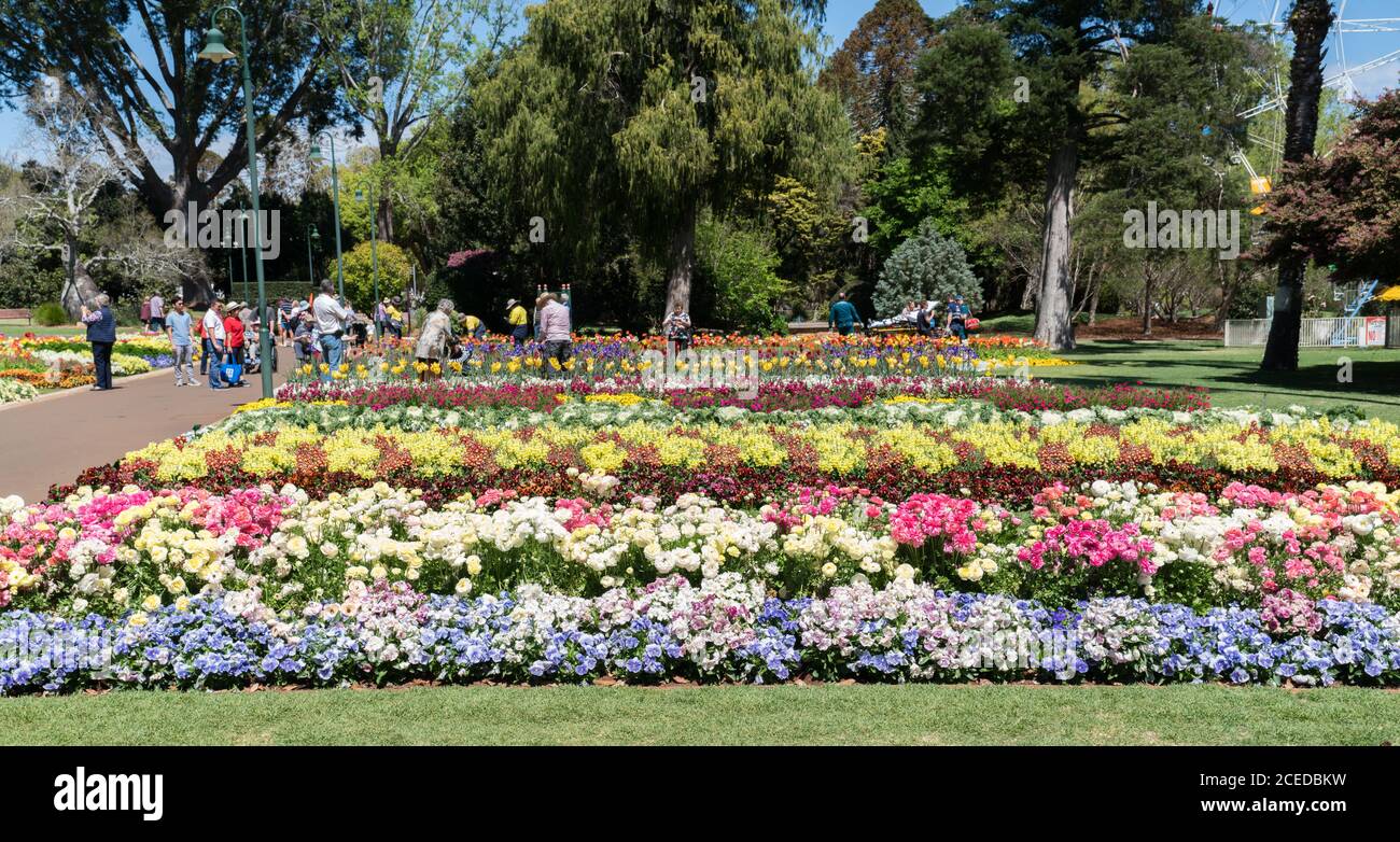 Visitors Enjoying The Beautiful Floral Garden Displays In Queens Park During The Carnival Of Flowers In Toowoomba Queensland Stock Photo Alamy