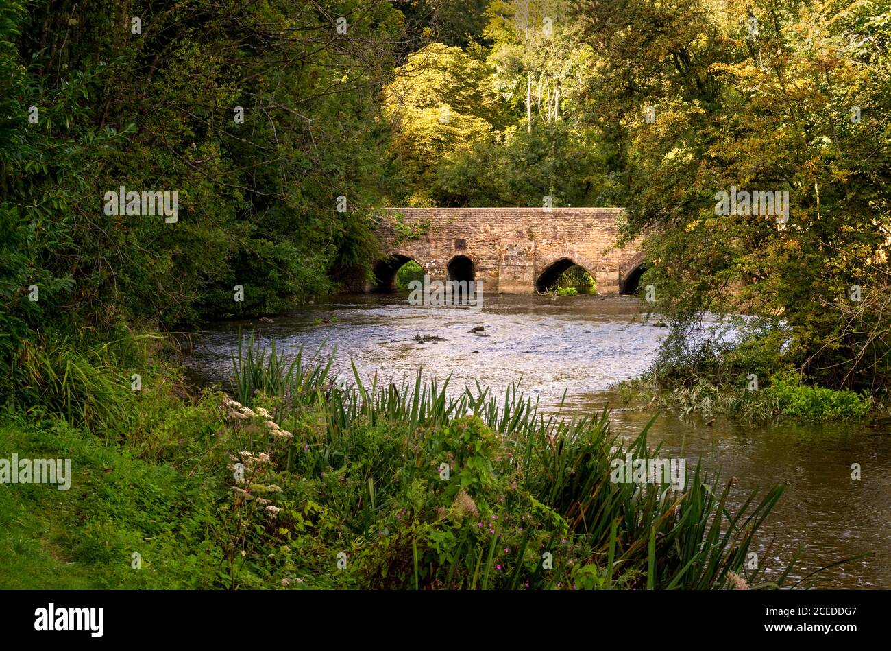 The ancient bridge at Lower Heyford, which crosses the river Cherwell in Oxfordshire, England, UK Stock Photo