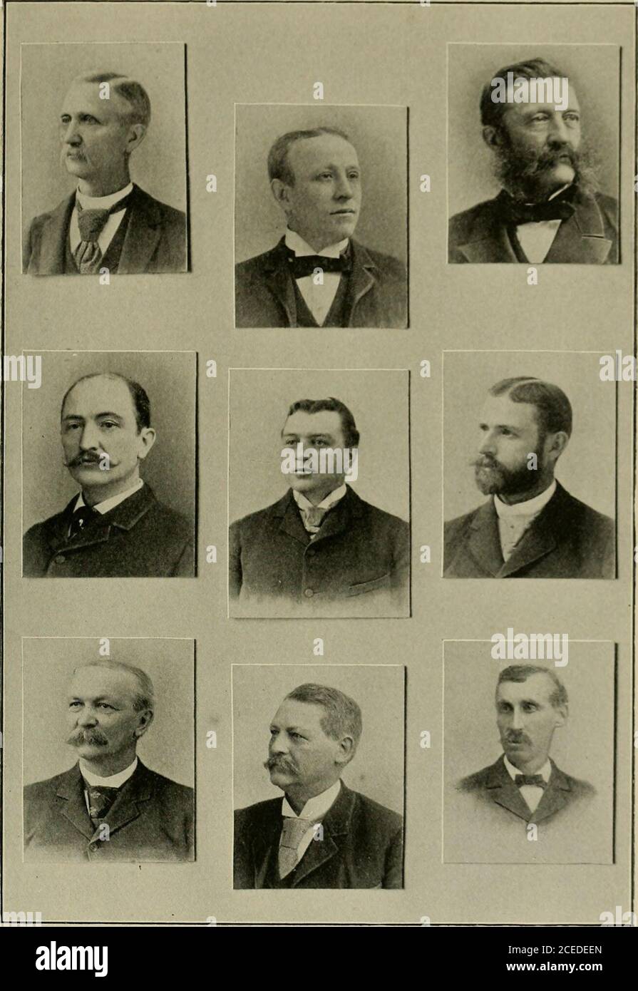 O Toole High Resolution Stock Photography and Images Alamy