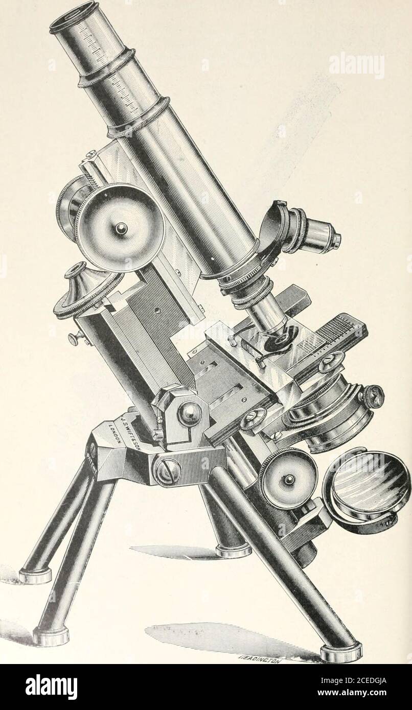 Powell et Lealand's microscope portatif Photo Stock - Alamy