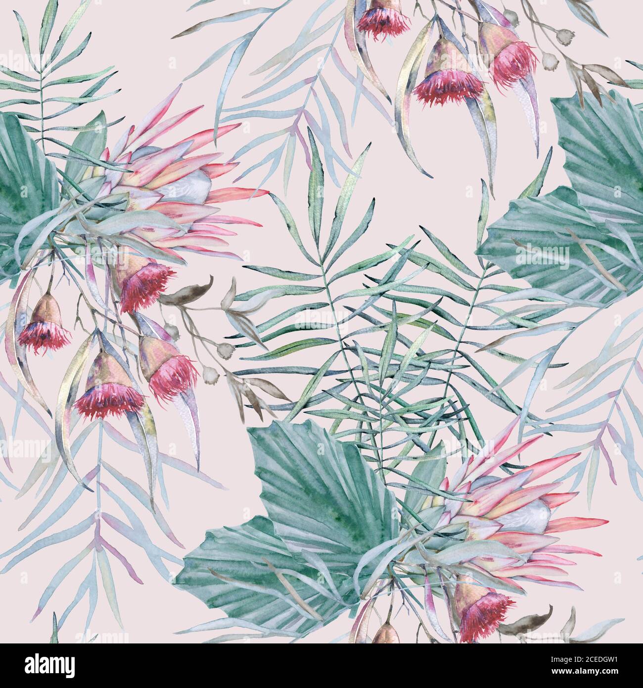 Background with elements of Australian nature. Seamless pattern Stock ...