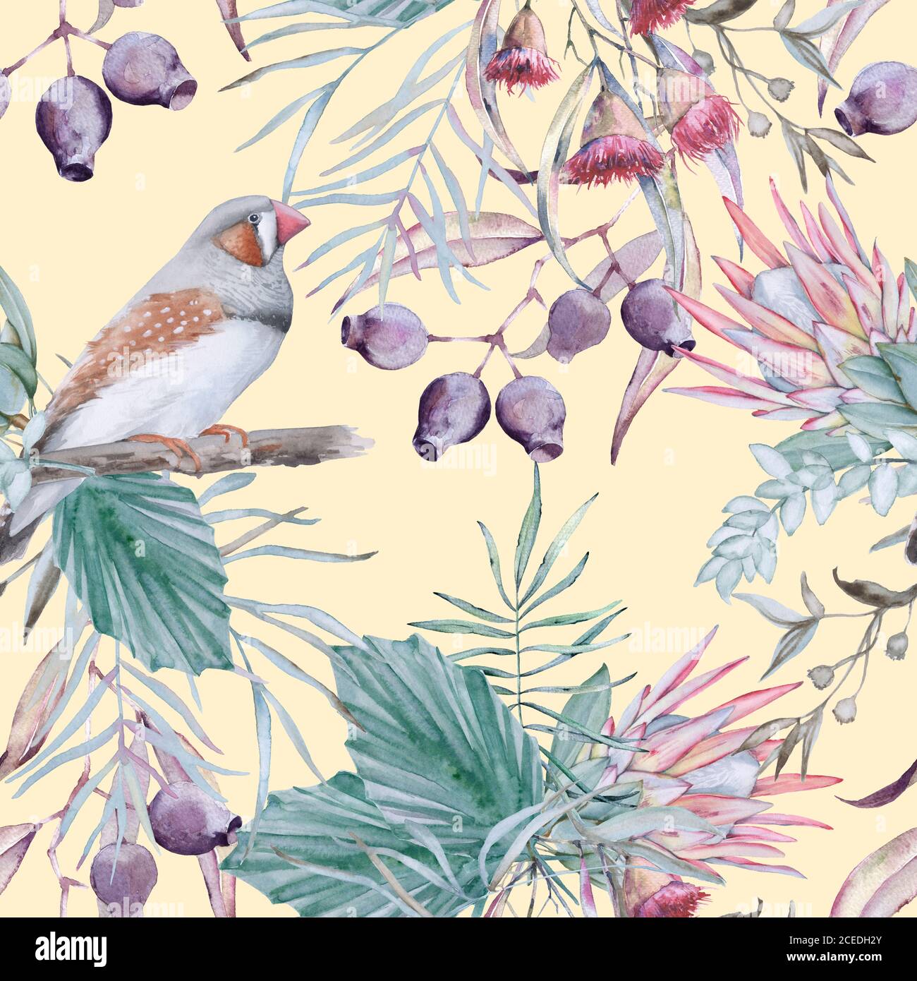 Background with elements of Australian nature. Seamless pattern Stock ...