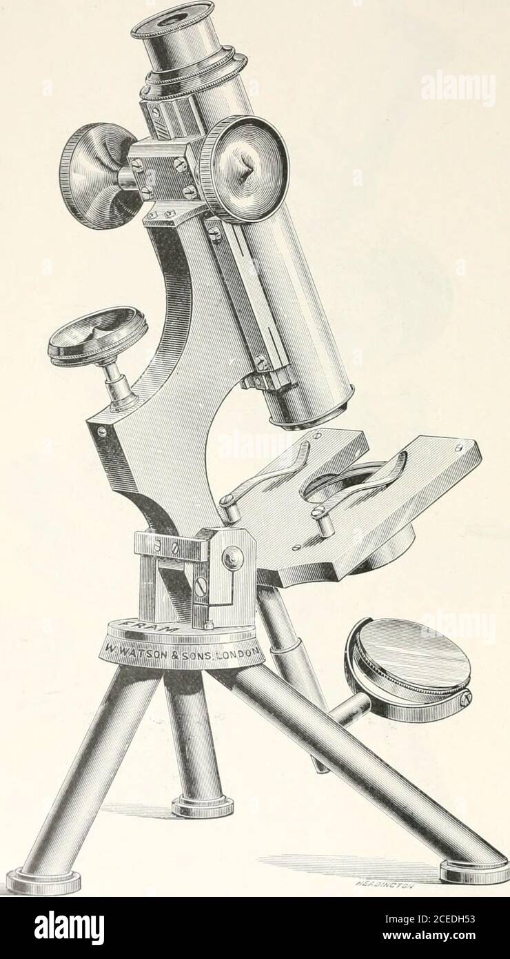 . The microscope and its revelations. FIG, 188.—Swifts histological and