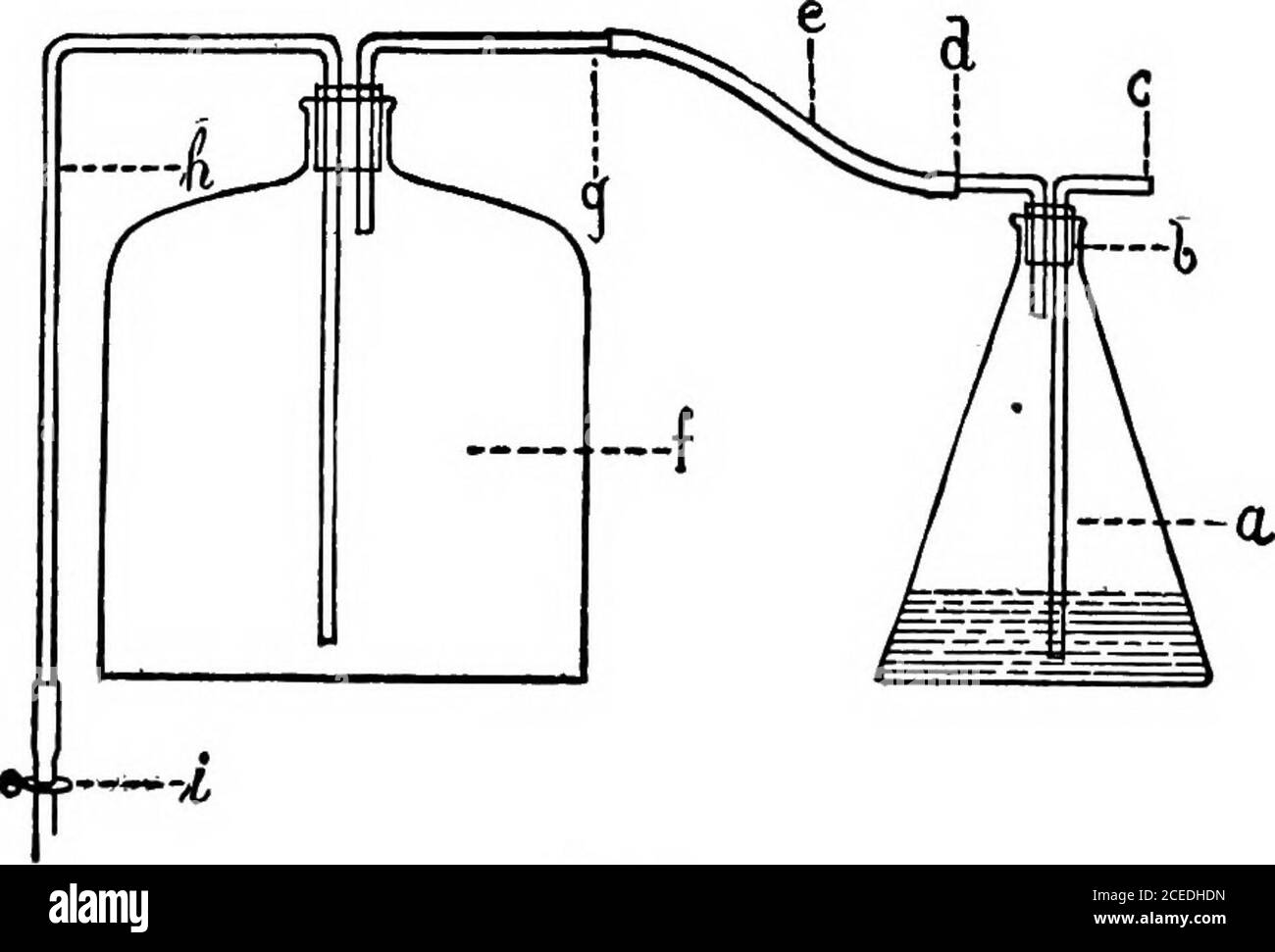 . A laboratory guide in bacteriology, for the use of students, teachers, and practitioners. (Fig. 29, a). This flask is provided with a rubberstopper (6) with two holes, through which two glasstubes (c with a wide opening and d) lead. Cottonplugs are then inserted at c and d, and the apparatusis sterilized in the autoclave. A large bottle (/), con-taining 5 liters of water, is then provided with a rubberstopper, and also with two glass tubes (g and h); hisconnected with a short piece of rubber hose and apinchcock {i). When the Erlenmeyer flask and con-tents are sterilized, the tube d is connec Stock Photo