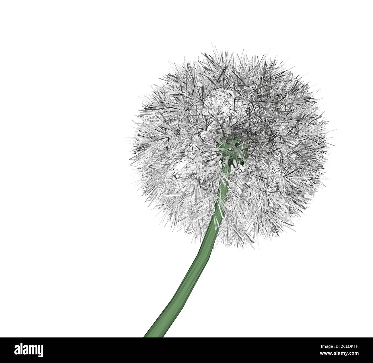 Low poly dandelion isolated on white background. 3D. Vector illustration Stock Vector