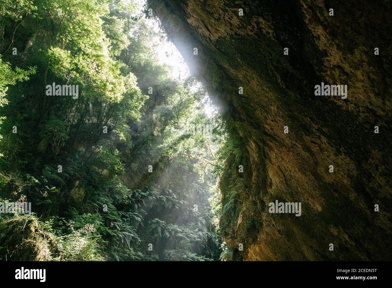 Canyon rocky canyon hi-res stock photography and images - Alamy
