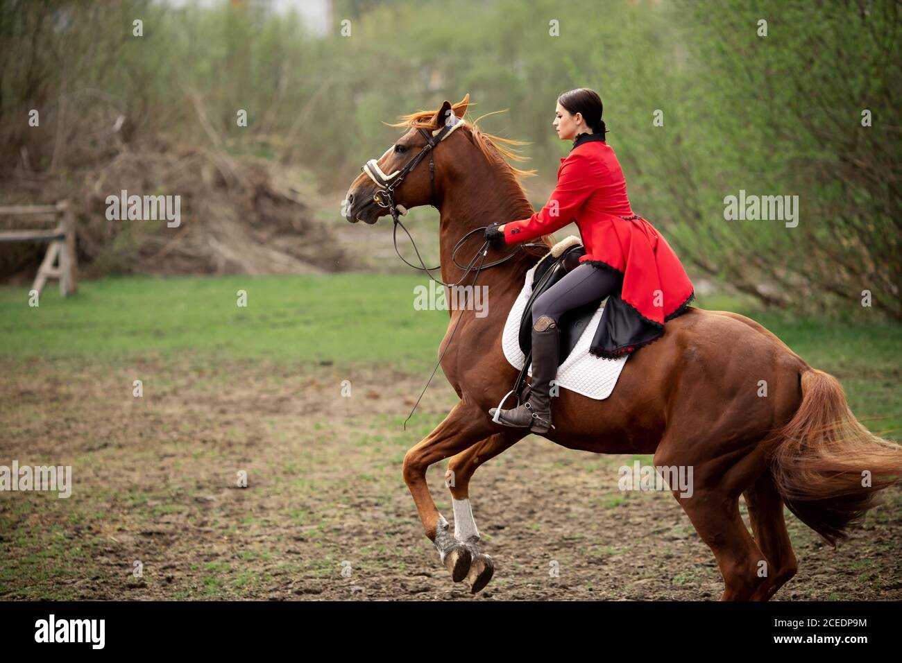 Woman jockey performs candle trick on horse racetrack Stock Photo Alamy
