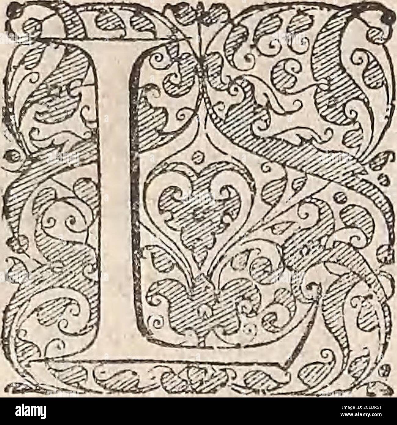Page 8 Les Doigts High Resolution Stock Photography And Images Alamy