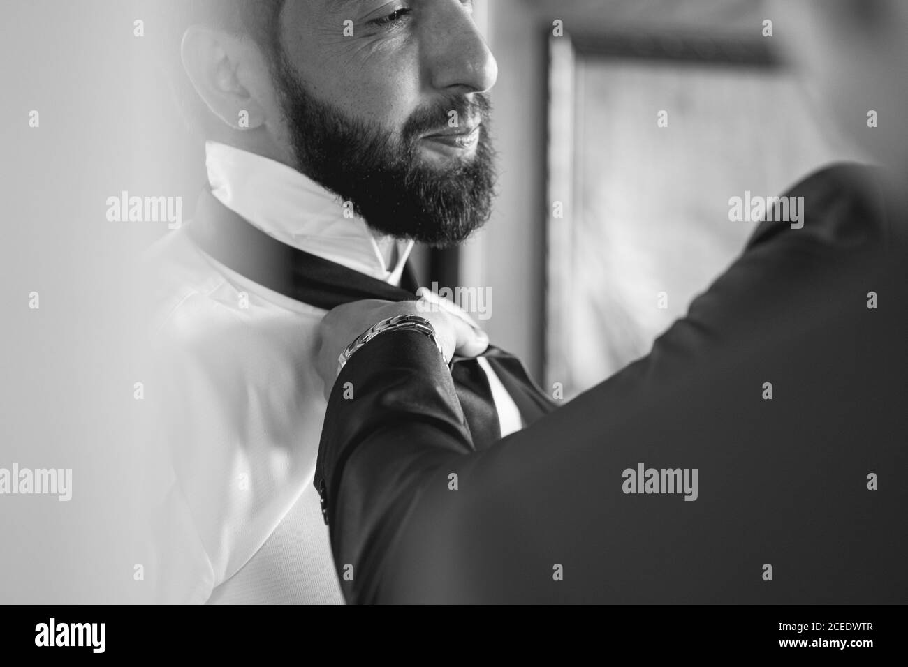 Crop view of person knotting black tie for young handsome man with beard in white shirt in black and white colors Stock Photo