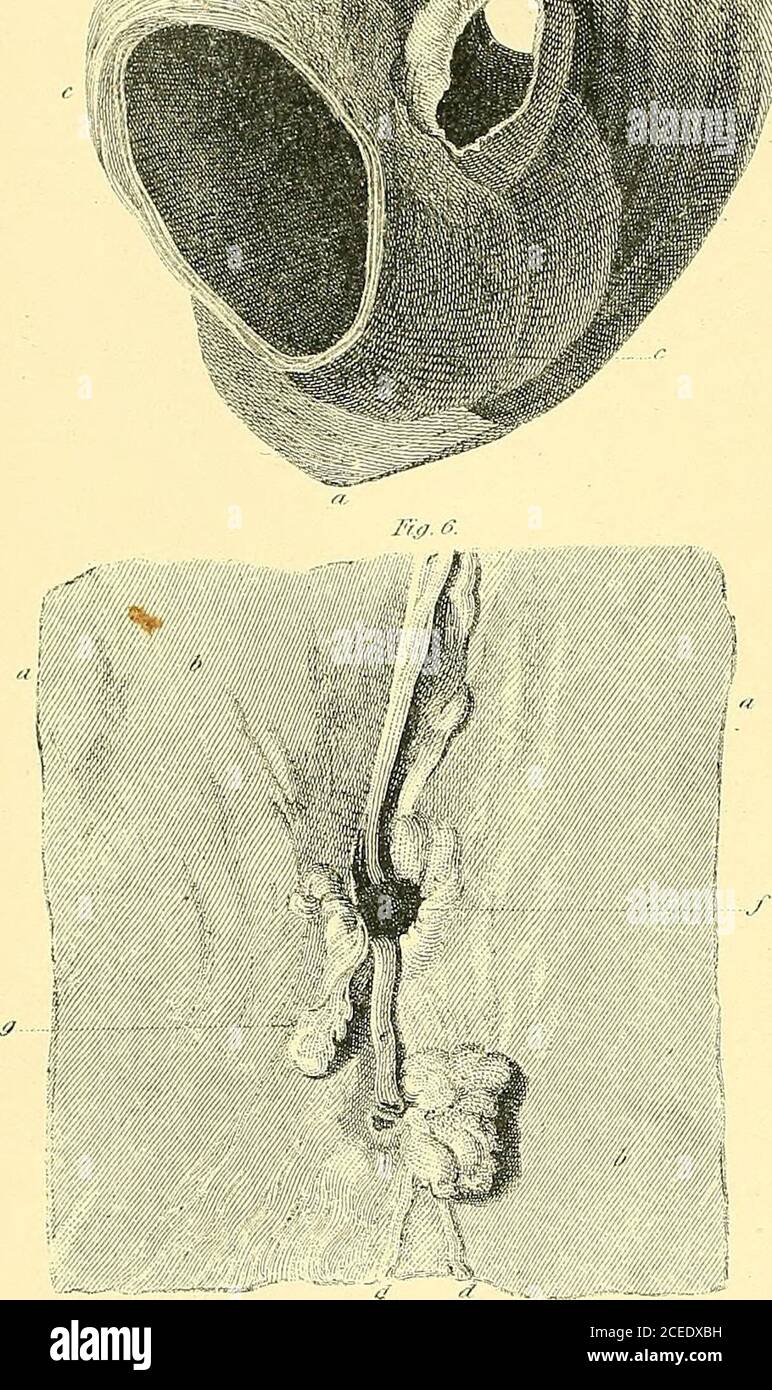 Joseph w. swan hires stock photography and images Alamy