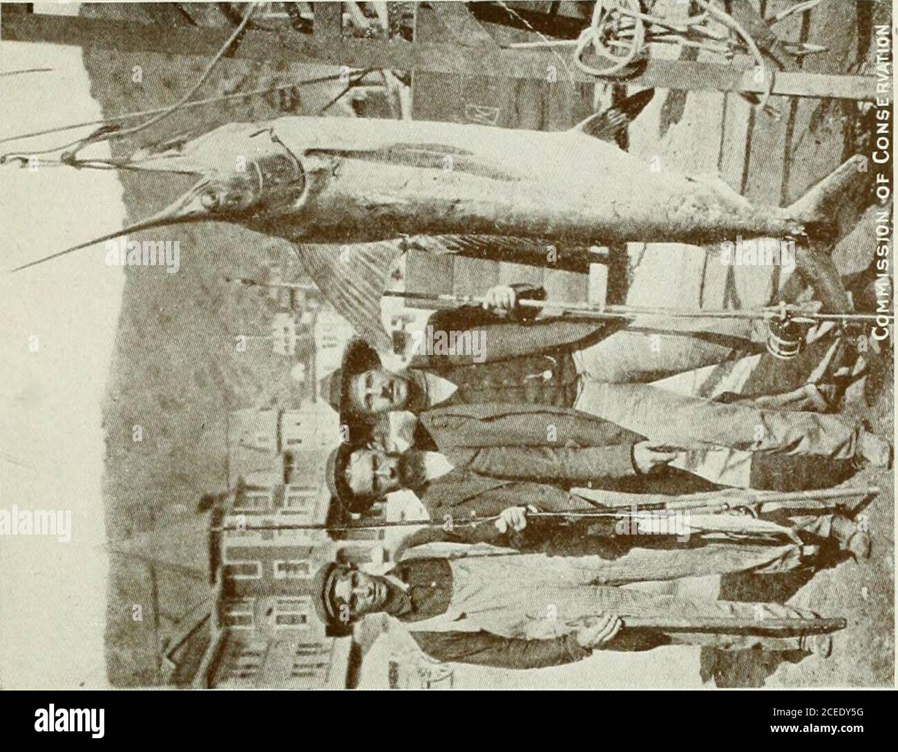 Sociation Hi Res Stock Photography And Images Page 5 Alamy