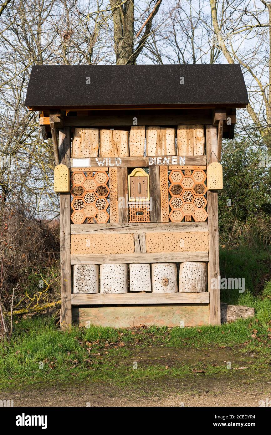 A bee hotel in Germany with the German word Wildbienen (for wild bee