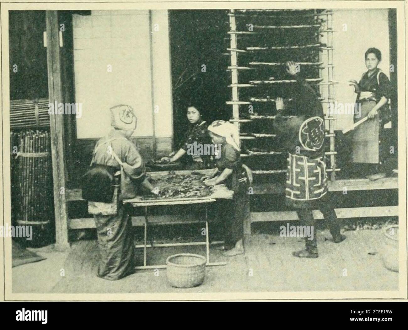 Circulation of blood in insects hi-res stock photography and images - Alamy